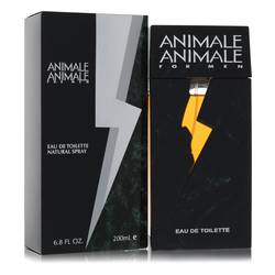 Animale Animale By Animale
