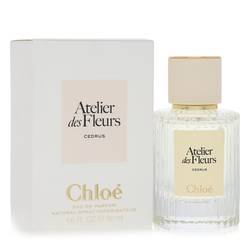 Chloe Cedrus By Chloe