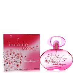 Incanto Bloom ( Packaging) By Salvatore Ferragamo