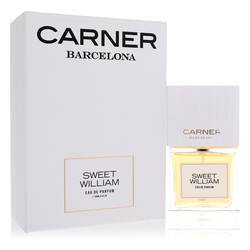 Sweet William By Carner Barcelona